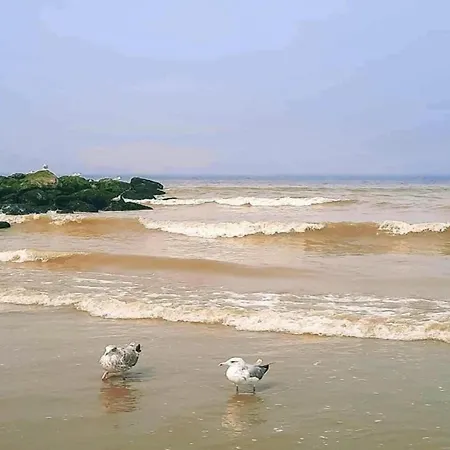 In With Stunning Sea View, Cleaning Included